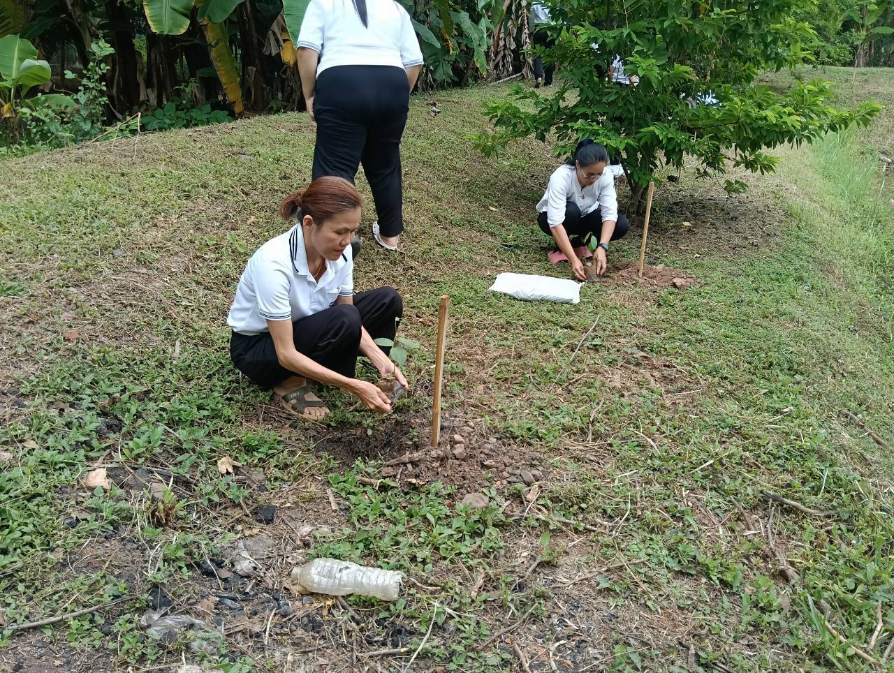 title - ส.ป.ก.แพร่ จัดโครงการ ปลูกเพื่อเปลี่ยน เปลี่ยนเพื่อยั่งยืน  เทิดไท้องค์ทศมราชา เพื่อเพิ่มพื้นที่สีเขียวในเขตปฏิรูปที่ดิน